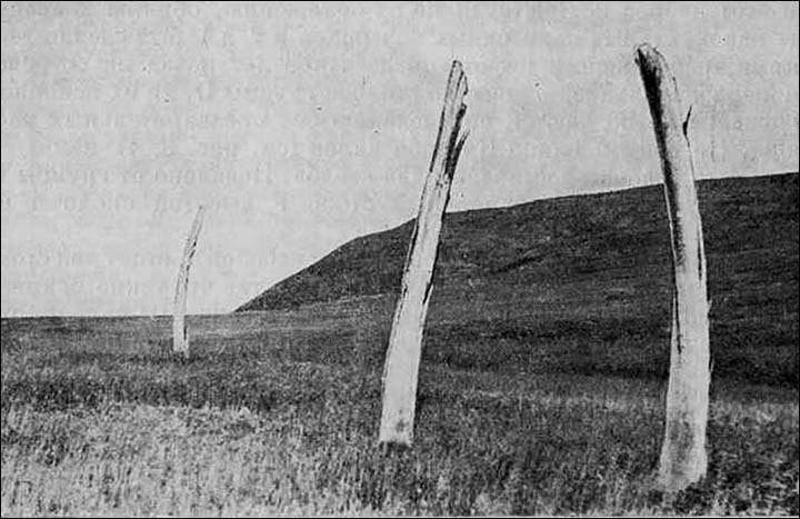 Whale bone alley on Soviet pictures