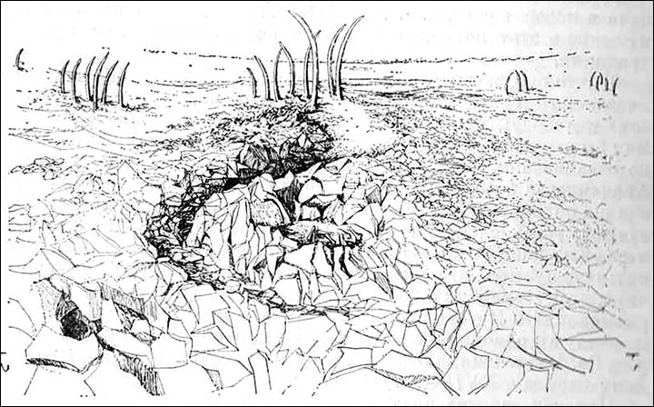 Drawing of Whale bone alley