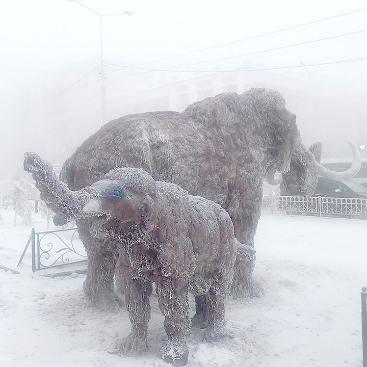 ‘We’re back’ - woolly mammoths reappear in Siberia
