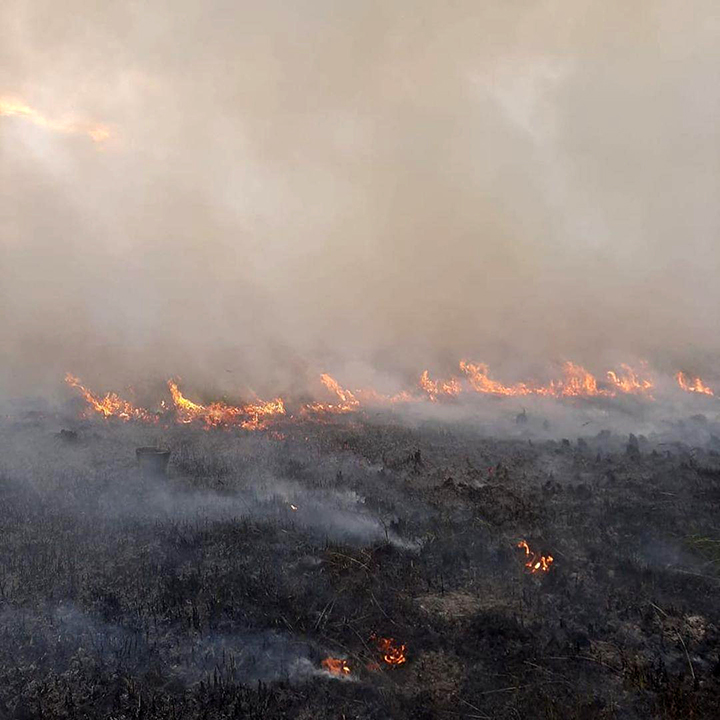 Ice on fire: first wildfires are registered around the world’s Pole of Cold in Yakutia 