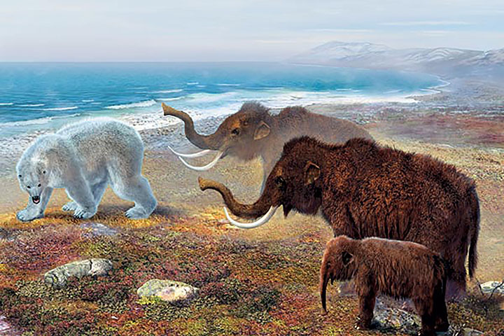 Wrangel mammoths