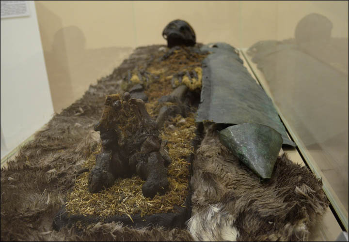 Schoolgirl Finds 41,000-Year-Old Mummified Lemming in Permafrost