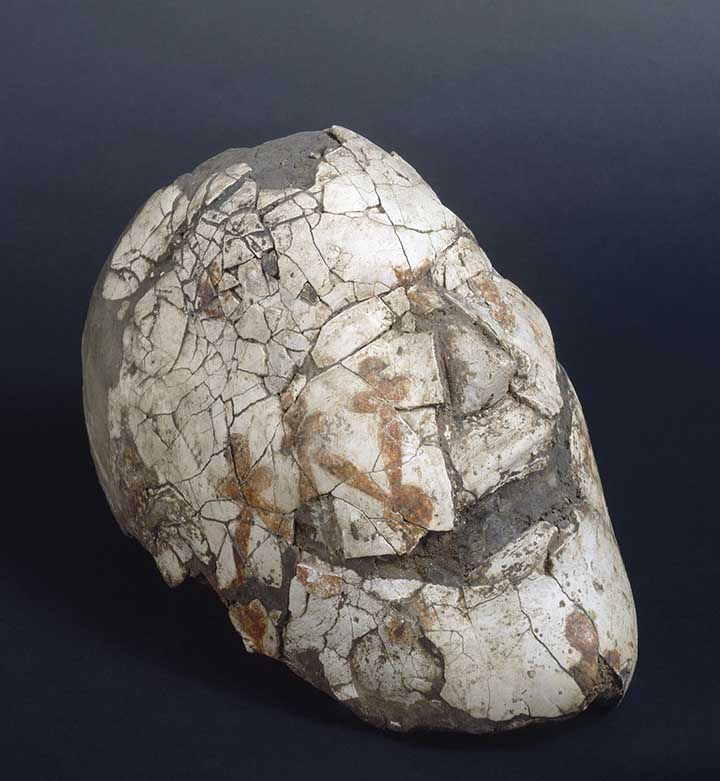 Head with clay modeled face