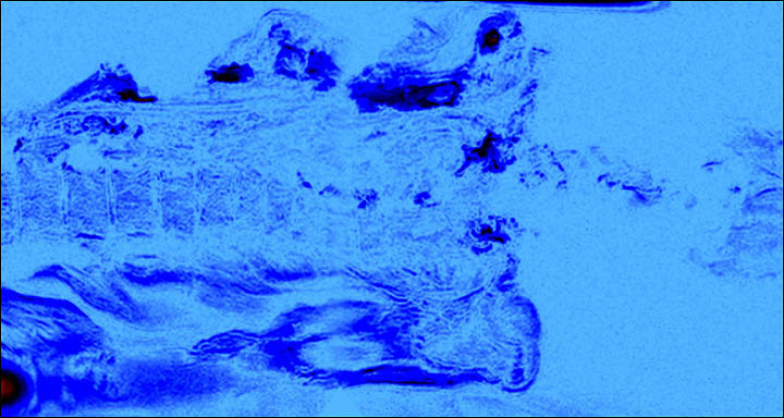 Ukok mummy MRI scan