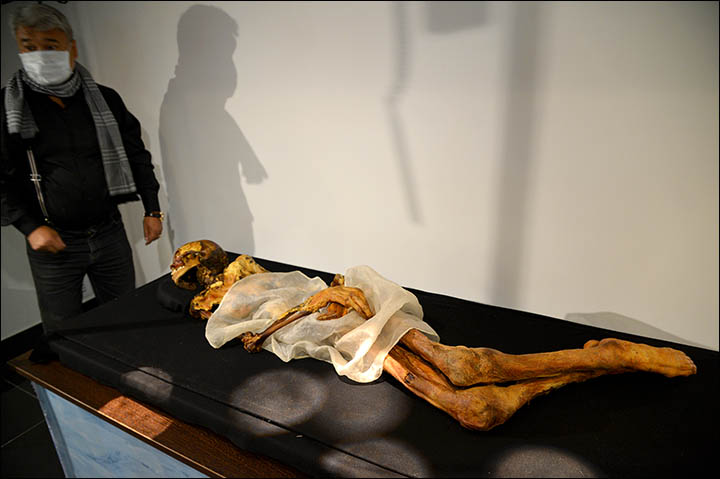 Iconic 2,500 year old Siberian princess 'died from breast cancer', reveals MRI scan 9