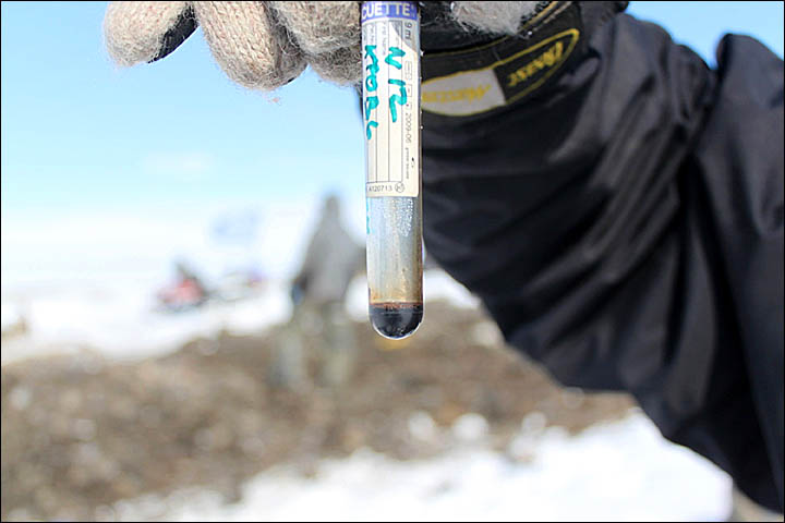 first ever sample of mammoth's blood Siberia