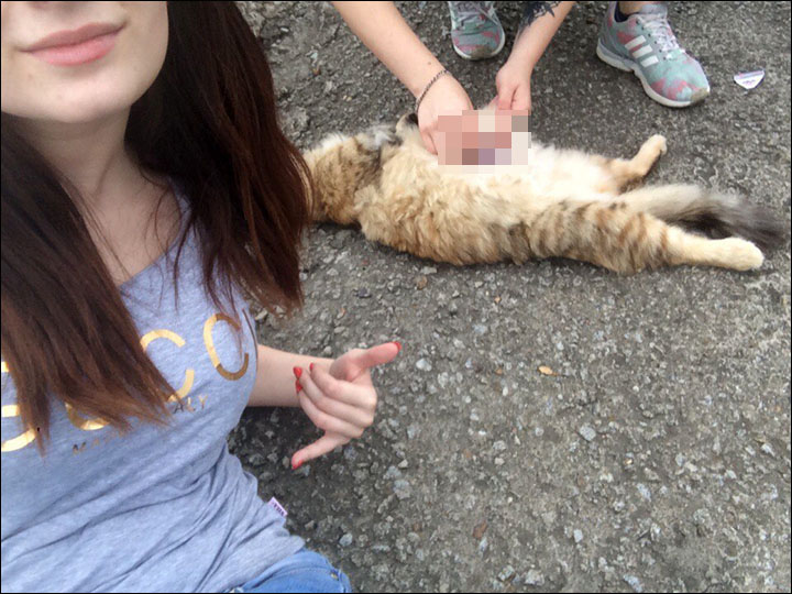 Vile images of tortured pets, with allegations two young women responsible