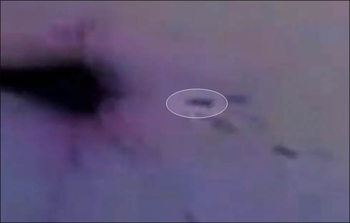 http://siberiantimes.com/PICTURES/WEIRD-AND-WONDERFUL/saved-by-UFO/standard%20possible%20ufo%202.jpg