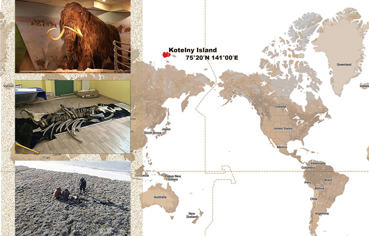 Schoolgirl Finds 41,000-Year-Old Mummified Lemming in Permafrost