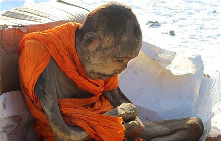 Поиск: Mongolian mummy